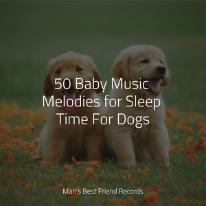 Soft Rains Will Come