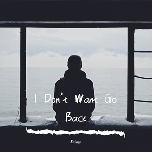 I Don't Want Go Back