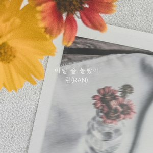 이럴 줄 몰랐어