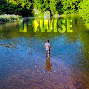 Insaan
