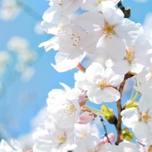 你说过的永远原来有保质期限