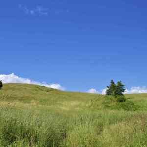 没有结果 (排箫)