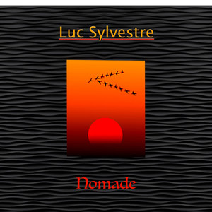 Les oies partent... (Version instrumentale)