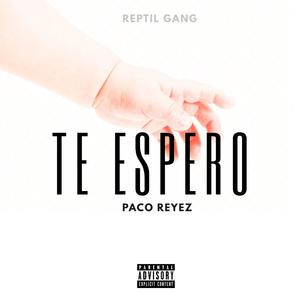 Te Espero (Paco Reyez)
