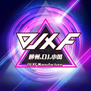 刘大拿-小宇（DJ小风remix）（DJ小风 remix）