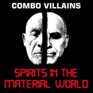 Spirits in the Material World