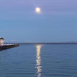 搁浅(女生版)（翻自 杨丞琳）