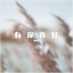 寒风中的你伴奏