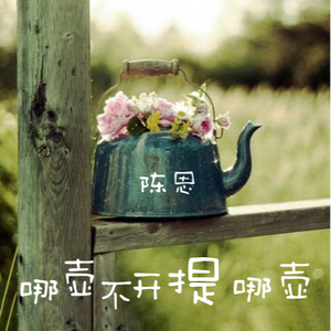 哪壶不开提哪壶