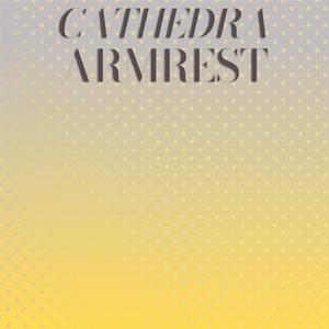 Phacellus Undemanding