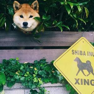 春雨が降った夜