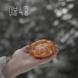 이불 속 귤