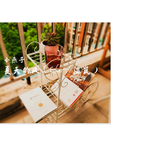 夏天的风 （cover：温岚）（翻自 温岚）