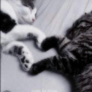 birthday s x (Sped Up)