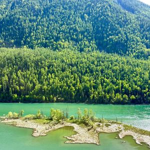 往昔美好时光的回响