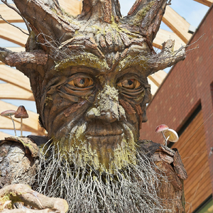 Will Wildwood (feat. Tilly Mills)