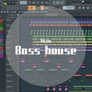 Bass house (Original Mix)