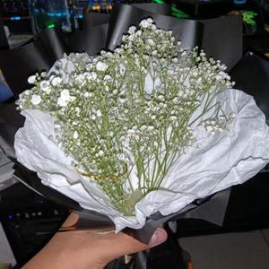 我的爱，是垃圾