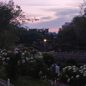 Lucdm-今晚的星星也很亮remix（秘制小猴 remix）