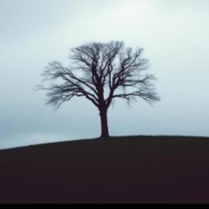 A Silent Promise (Healing Pop Ballad Music)