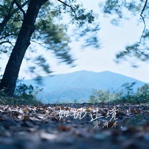 如风过境 (Remix)