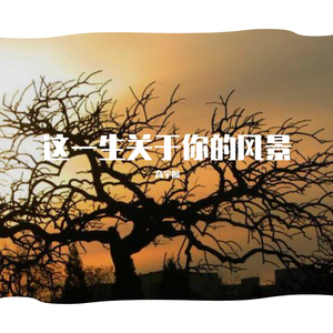 这一生关于你风景