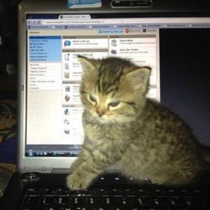 oh no (feat. k1lltr4sh)