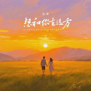 想和你去远方 (DJ京仔版)