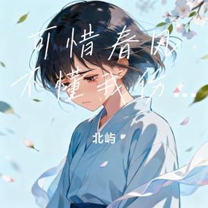 可惜春风不懂我伤悲 (DJ版) (Cover 范贵宾)
