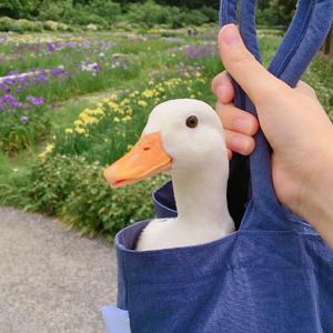 姜云升-丧心鸭（詹冠凌 remix）