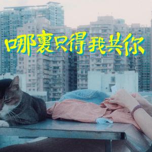 哪裡只得我共你 (強行合作版)