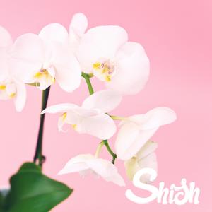 Why Do You Hate Yourself?