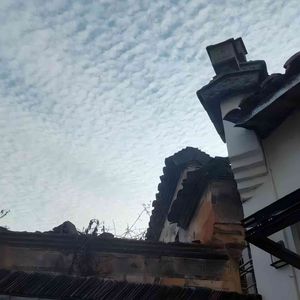 丛林中的自由逐梦者