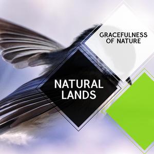 Geostrophic Wind