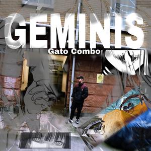 Geminis