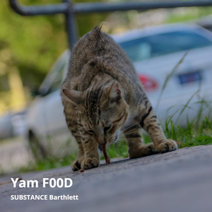 Yam F00D