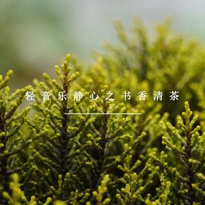 茶室清凉 (放松纯音乐)