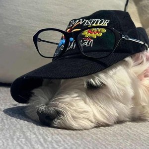 你抱怨夏天太短