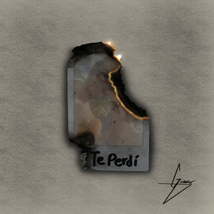 Te Perdí