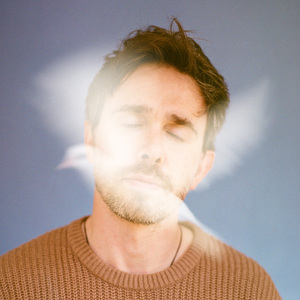 Birds in the Background