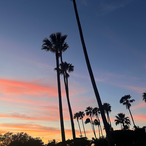 Ocean Song (Instrumental)