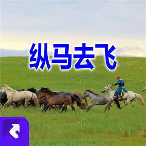 纵马去飞