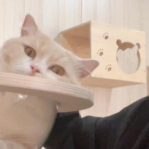 偏爱(cover吉他版)