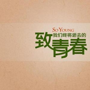 致我们终将逝去的青春43