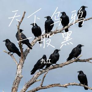 天下乌鸦一般黑 (Cover 小炎同学)