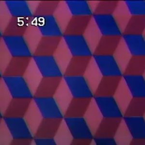 G O V E R N M E N T / C O M M U N I T Y