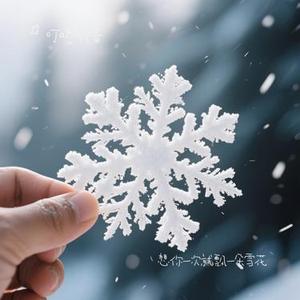 想你一次就飘一朵雪花 (Cover 沧桑小杰)