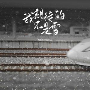 我期待的不是雪