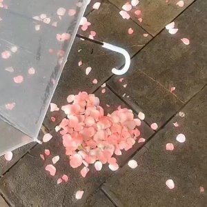 你的心像一把利剑