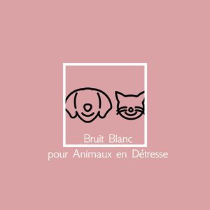 Moments de Calme pour vos Amis ? Quatre Pattes (Séquence en Boucle)